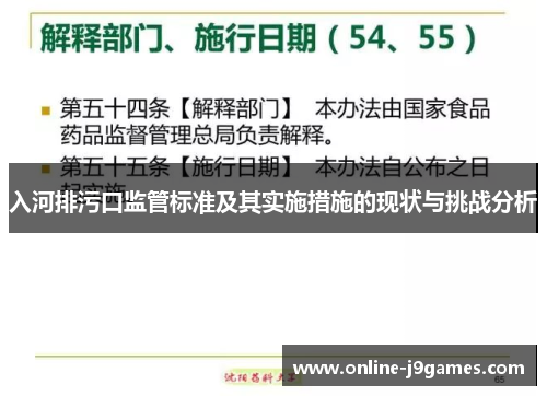 入河排污口监管标准及其实施措施的现状与挑战分析